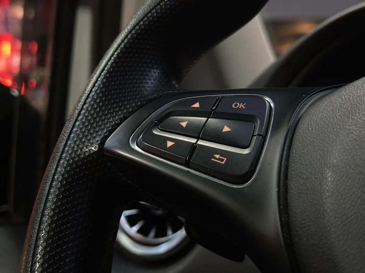 114 BlueTEC Pro XL |CRUISE|EXTRA OPTIES
