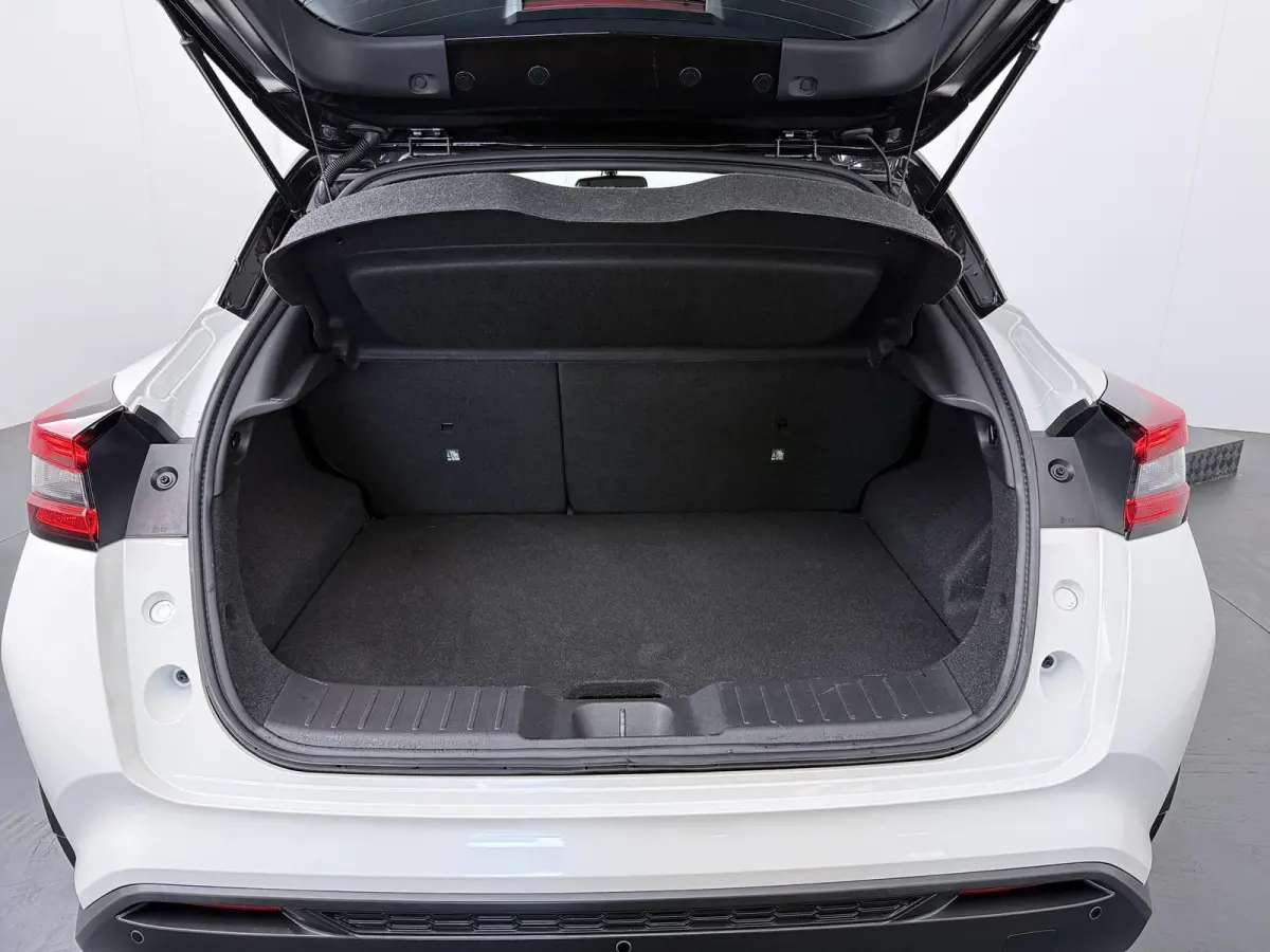 1.6 Hybrid N-Design | 360 Camera | Bose Audio | CarPlay | Adaptieve Cruise Control |