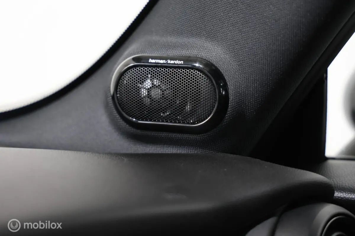 S 2.0 60 Years Edition - Pano - Stoelverwarming - Carplay