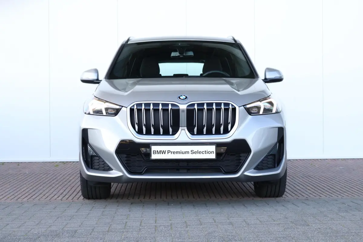 xDrive25e | SoH 100% | M-Sport Pakket | Driving Assistant Plus | Comfort Access | Achteruitrijcamera | PDC | Verwarmde Voorstoelen |