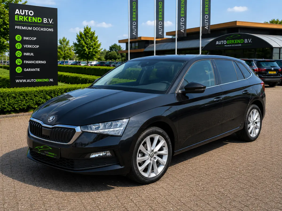 1.0 TSI Ambition Incl.Garantie