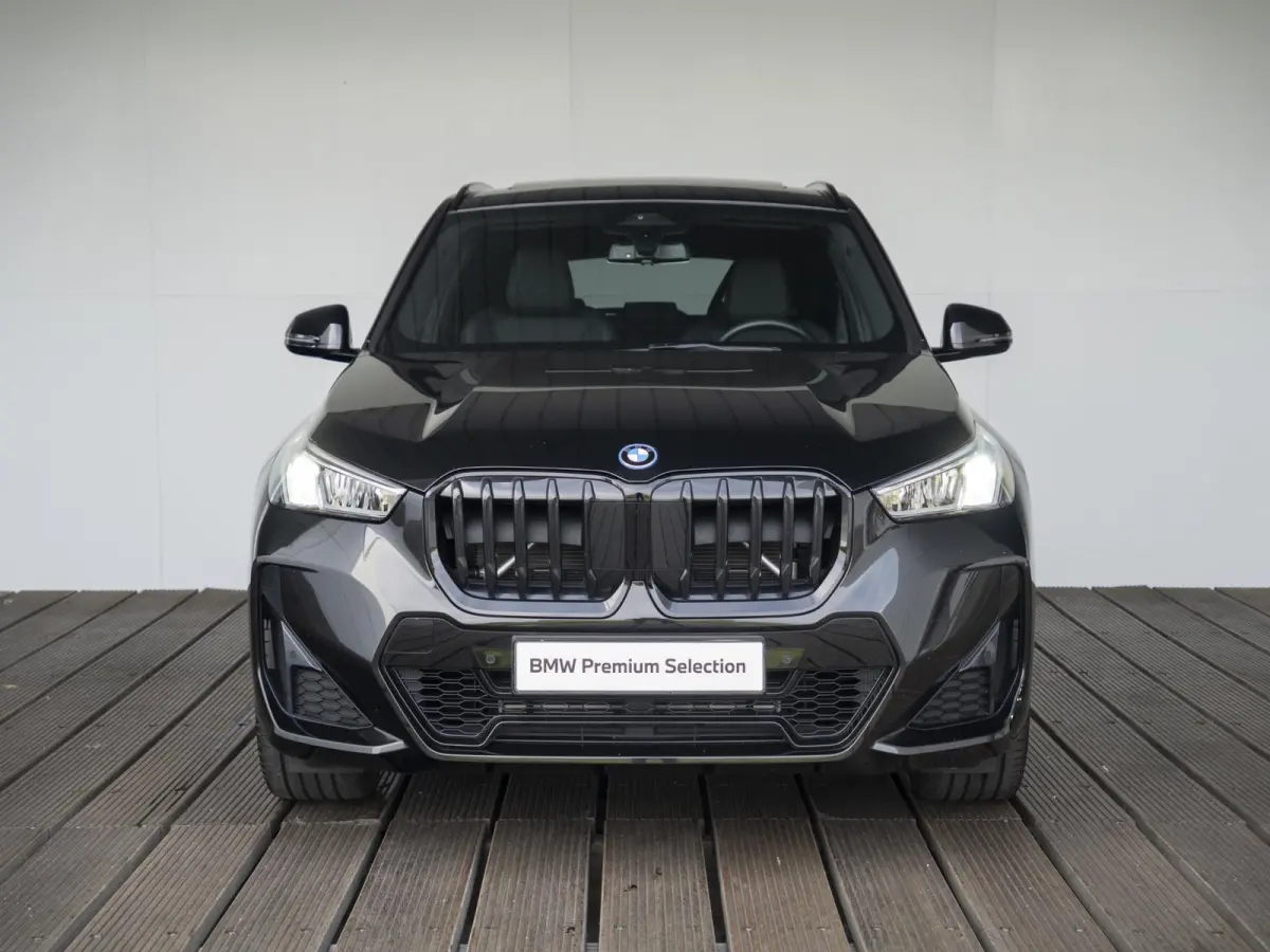 xDrive25e SoH 98% | M Sportpakket | Travel Pack | Achteruitrijcamera | Panoramadak | Trekhaak