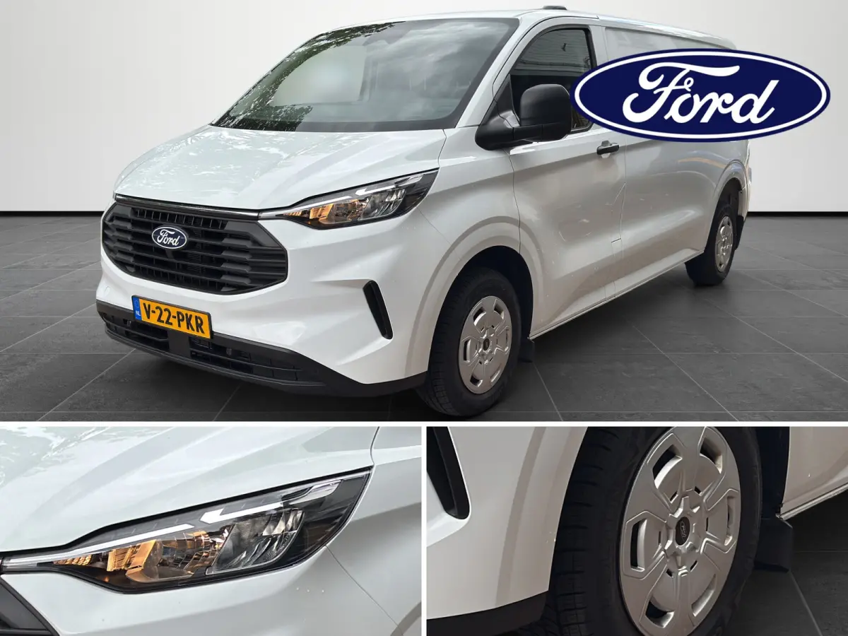 300 2.0 TDCI L2H1 Trend 110pk | Camera | Keyless | Climate control |