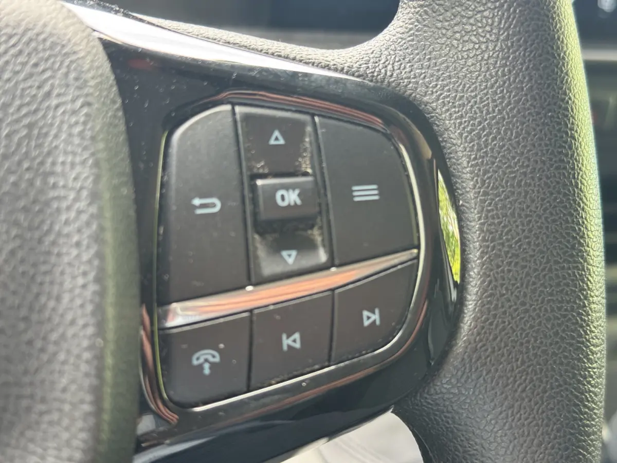 300 2.0 TDCI L2H1 Trend 110pk | Camera | Keyless | Climate control |