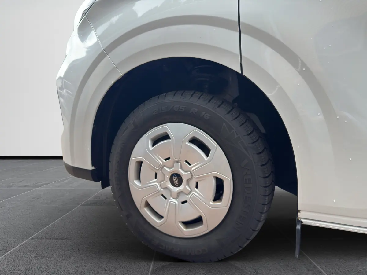 300 2.0 TDCI L2H1 Trend 110pk | Camera | Keyless | Climate control |