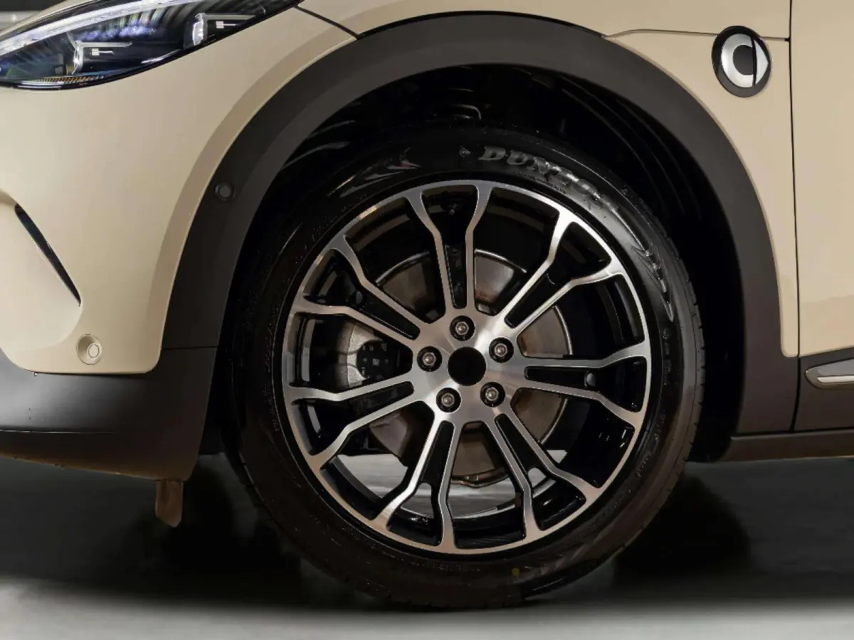 Premium 66 kWh