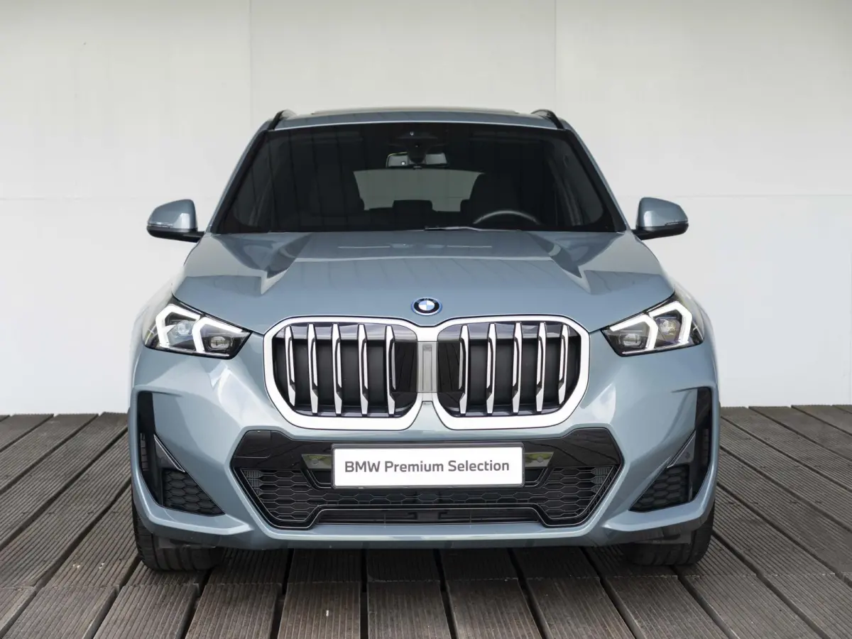 xDrive25e SoH 100% | M Sportpakket | Travel Pack | Comfort Access | Achteruitrijcamera | Panoramadak | Stoelverwarming | Trekhaak