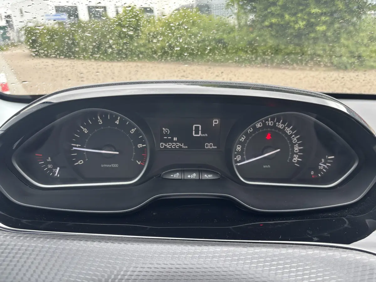 1.2 PureTech Blue Lion GARANTIE/AUTOMAAT/PANORAMADAK/CARPLAY/CLIMA/PDC/LICHTMETAAL rijklaarprijs!