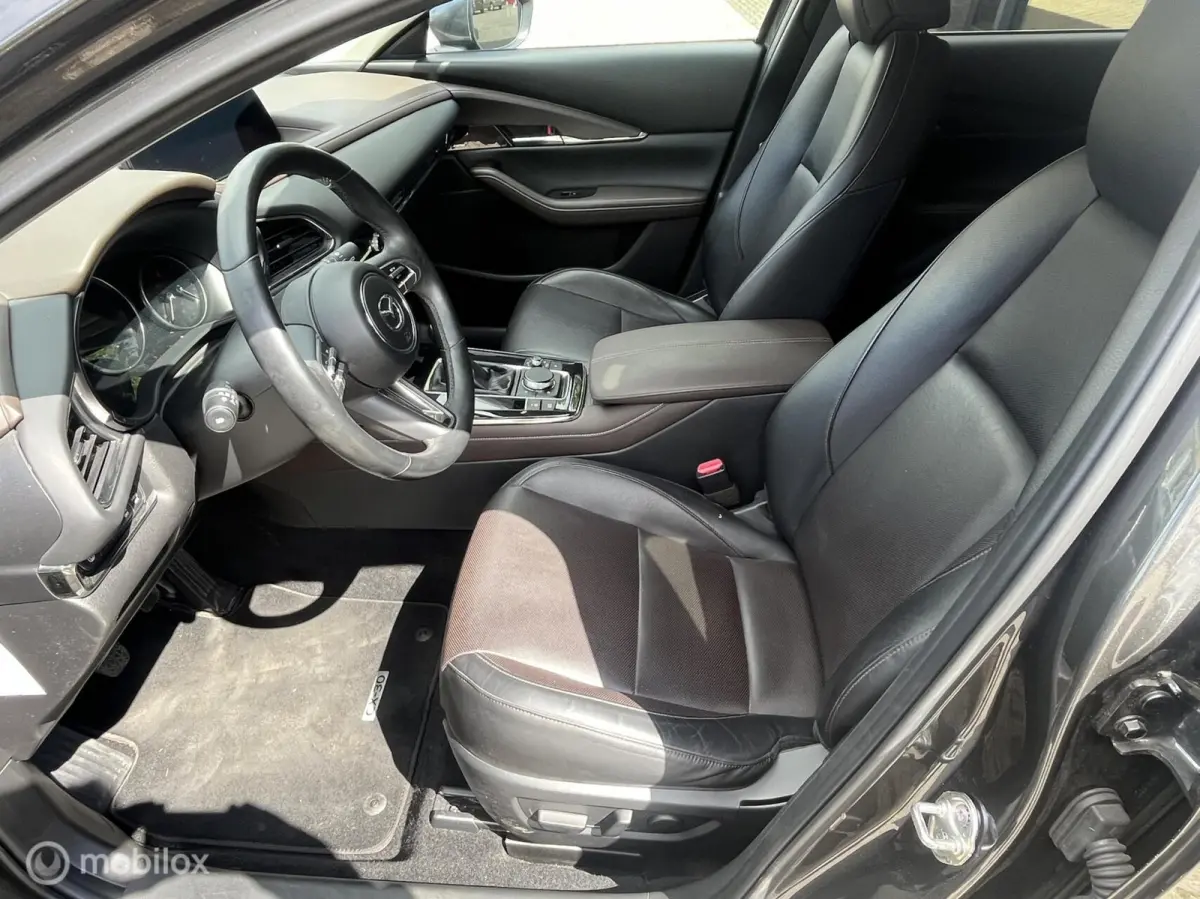 2.0 e-SkyActiv-X M Hybrid Luxury