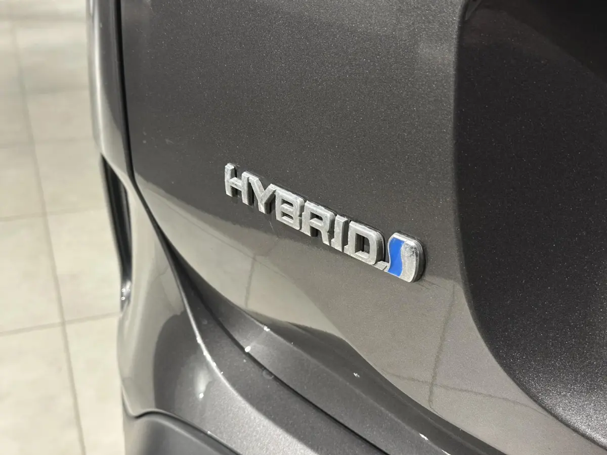 1.2 Hybrid 136 Max | Panoramadak | Camera | Trekhaak | Zeer compleet!