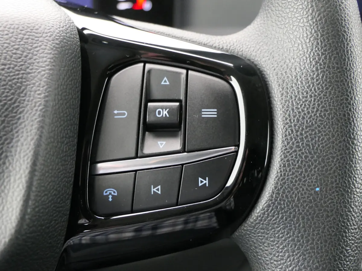 300 2.0 TDCI L2H1 Trend | CarPlay/Android Auto | Cruise Control | Parkeersensoren | Camera | Verwarmde Voorruit