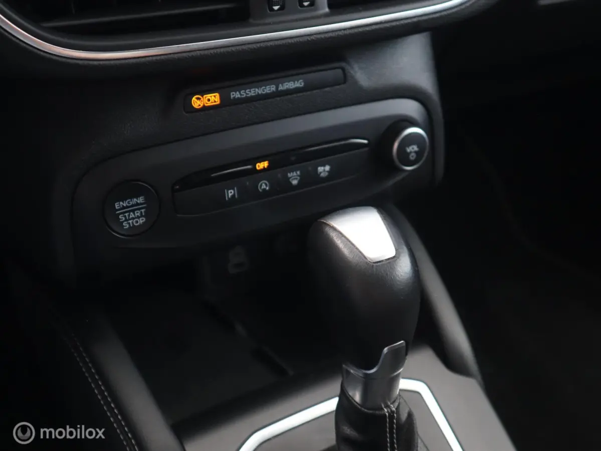 EcoBoost 155 PK Hybrid MHEV AUTOMAAT (FACELIFT MODEL) Titanium X Navi|Trekhaak|LED|Camera|DAB|DonkerGlas|17"LMV
