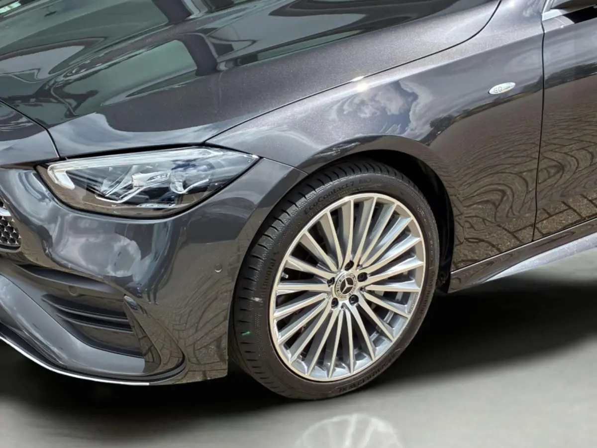 300 e Business Solution AMG | Panorama dak