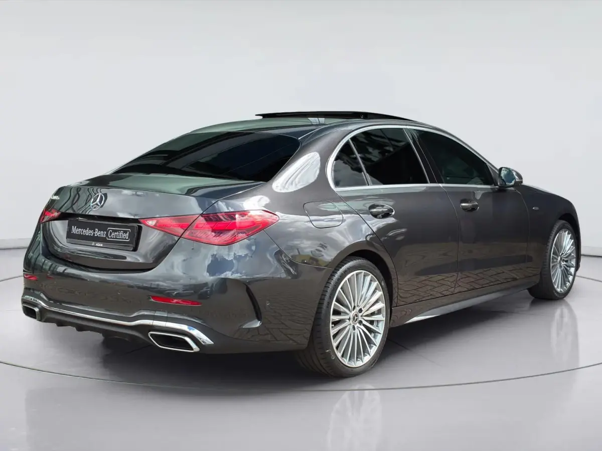300 e Business Solution AMG | Panorama dak