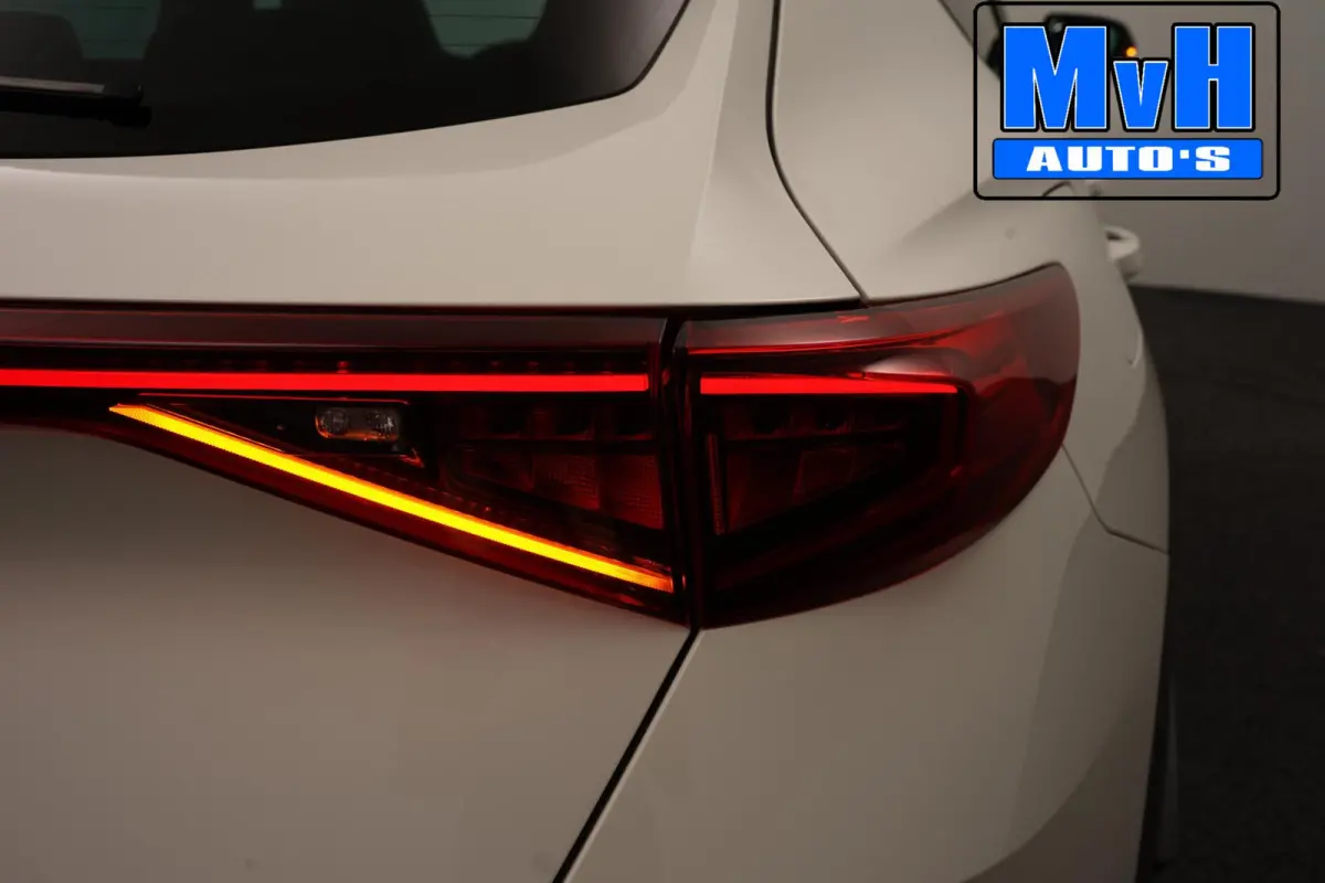 1.4 PHEV VZ Performance|PANO|STUUR.VERW|SOH100%