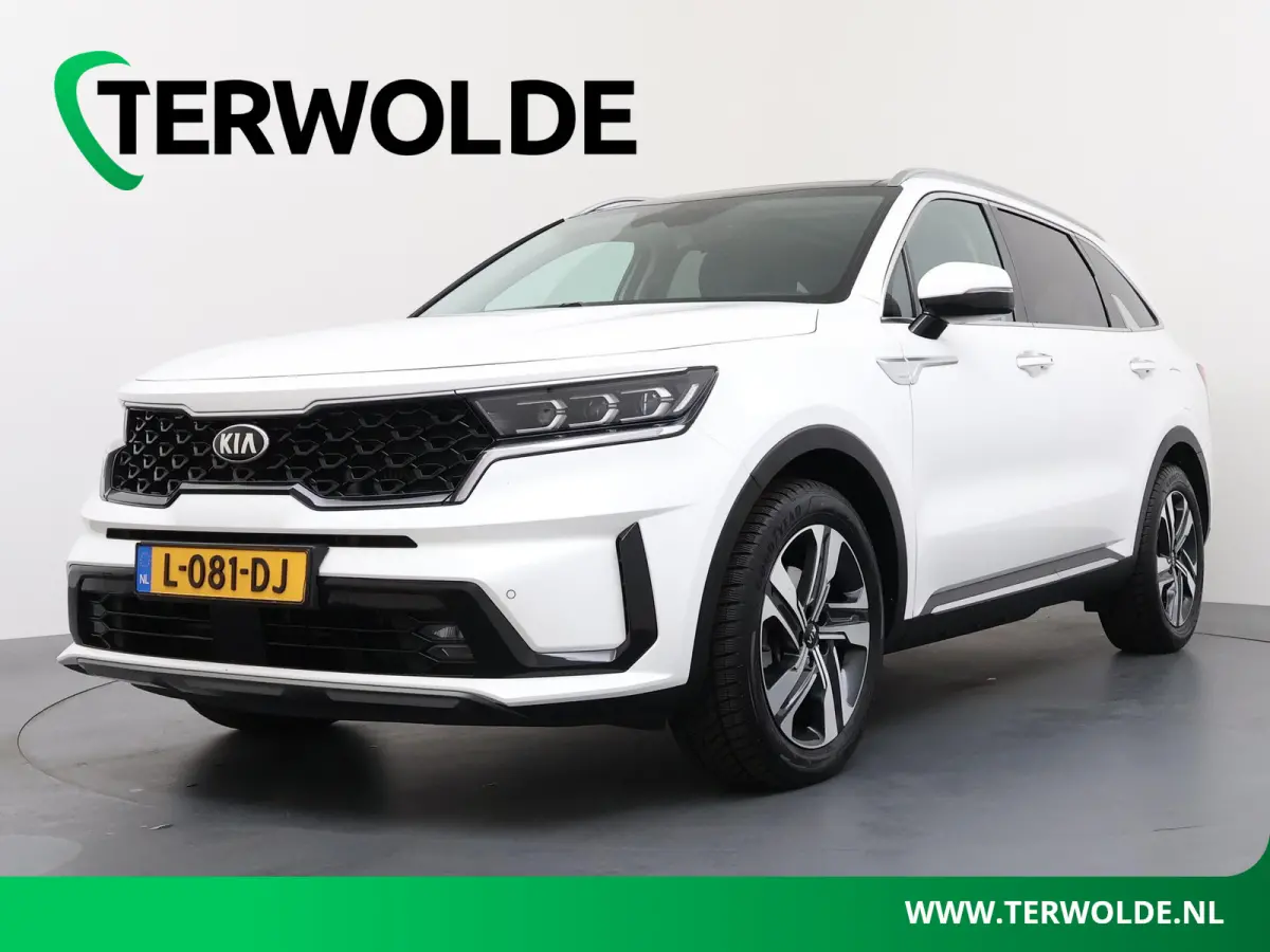 1.6 T-GDI Plug-in Hybrid 4WD DynamicPlusLine 7p. | BOSE Audio | Adapt. Cruise | Stoel- & Stuurverw. |