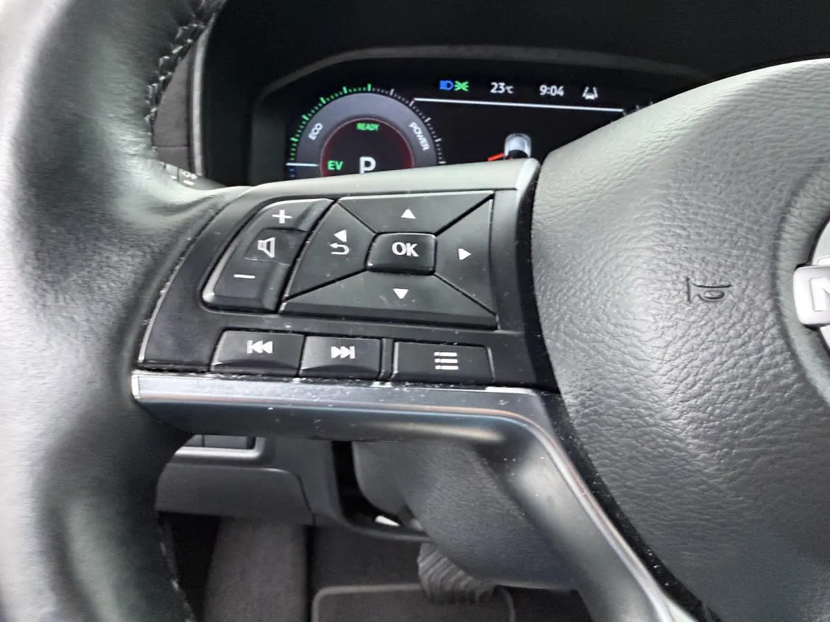 1.6 Hybrid N-Design | Half Leder | BOSE Audio | 360 Camera | Trekhaak |