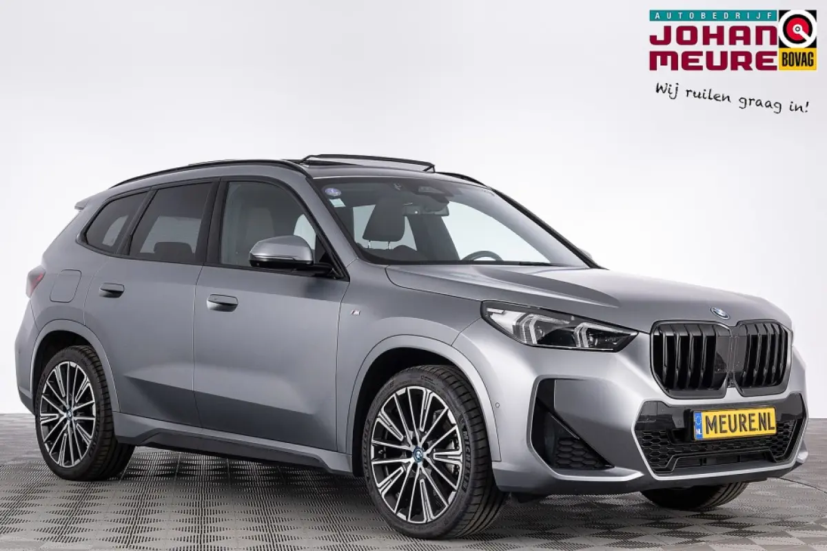 xDrive30e M-sport | LEDER | PANORAMADAK *MAT GRIJS*