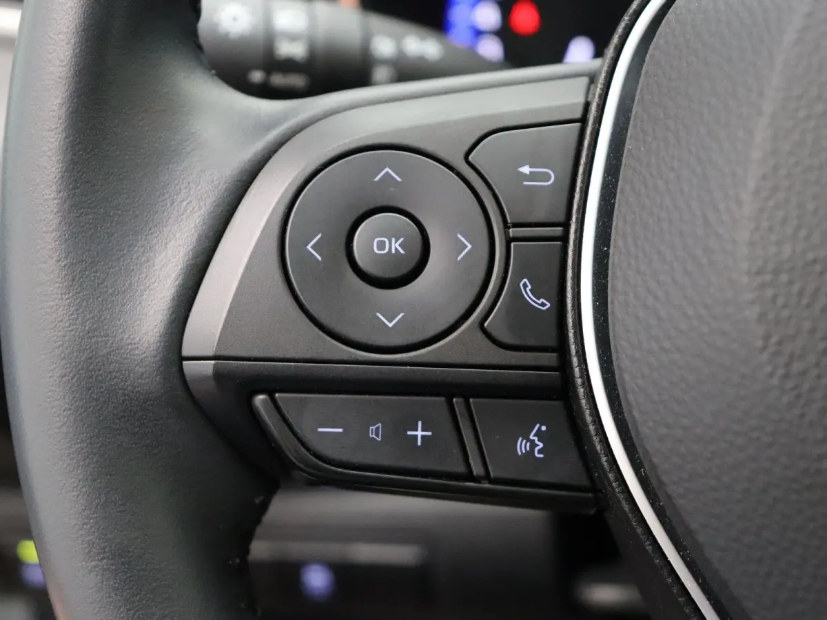 2.0 Hybrid Executive | head-up display | JBL audio | leder | schuif-kanteldak | stoelverwarming |