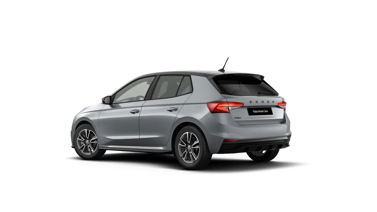 Monte Carlo | Achteruitrijcamera | Cruise control met speedlimiter | Driver Activity Assistant, vermoeidheid waarschuwingssysteem