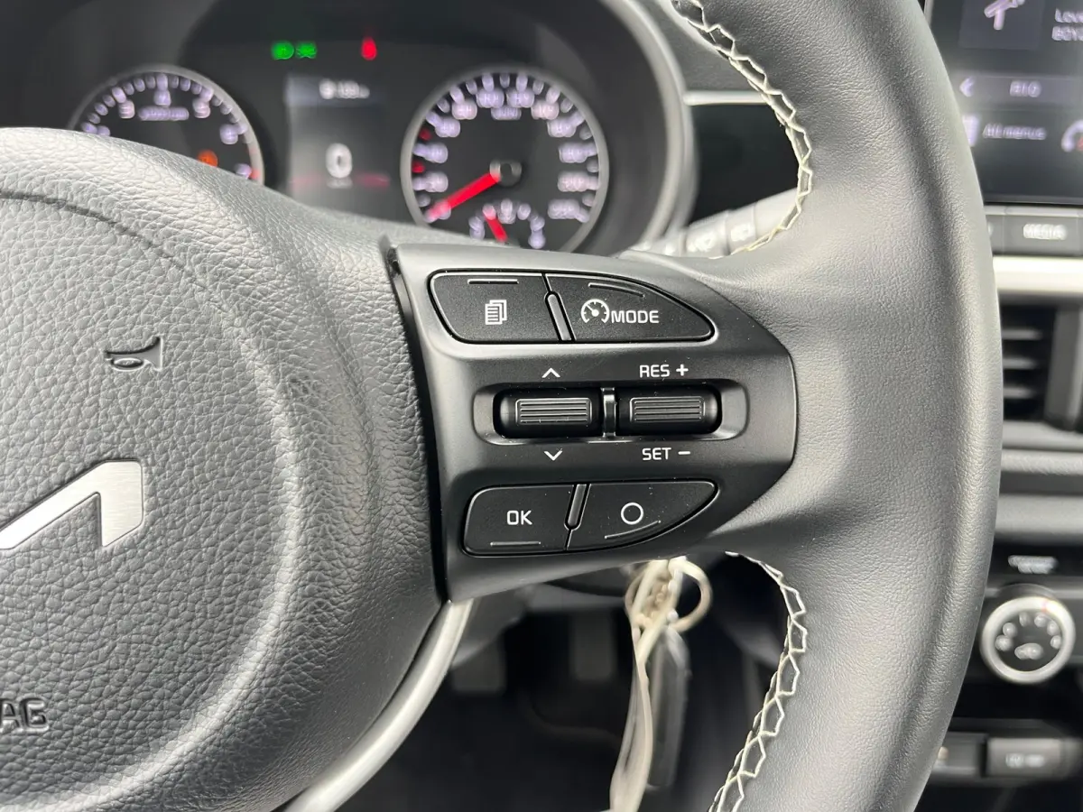 1.0 DPi DynamicLine NL.Auto/Achteruitrijcamera/Navigatie/Cruise/Lichtmetalen velgen/1Ste Eigenaar/Dealer Onderhouden