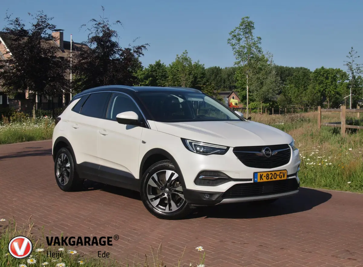 1.2 Turbo Ultimate | Apple Carplay | Cruise Control | Parkeersensoren | Leder-pakket |