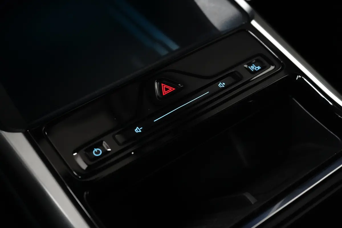 Extended Range RWD 77 kWh 100% SoH | Cruise control adaptief met Stop&Go | DAB ontvanger | Dodehoek detectie