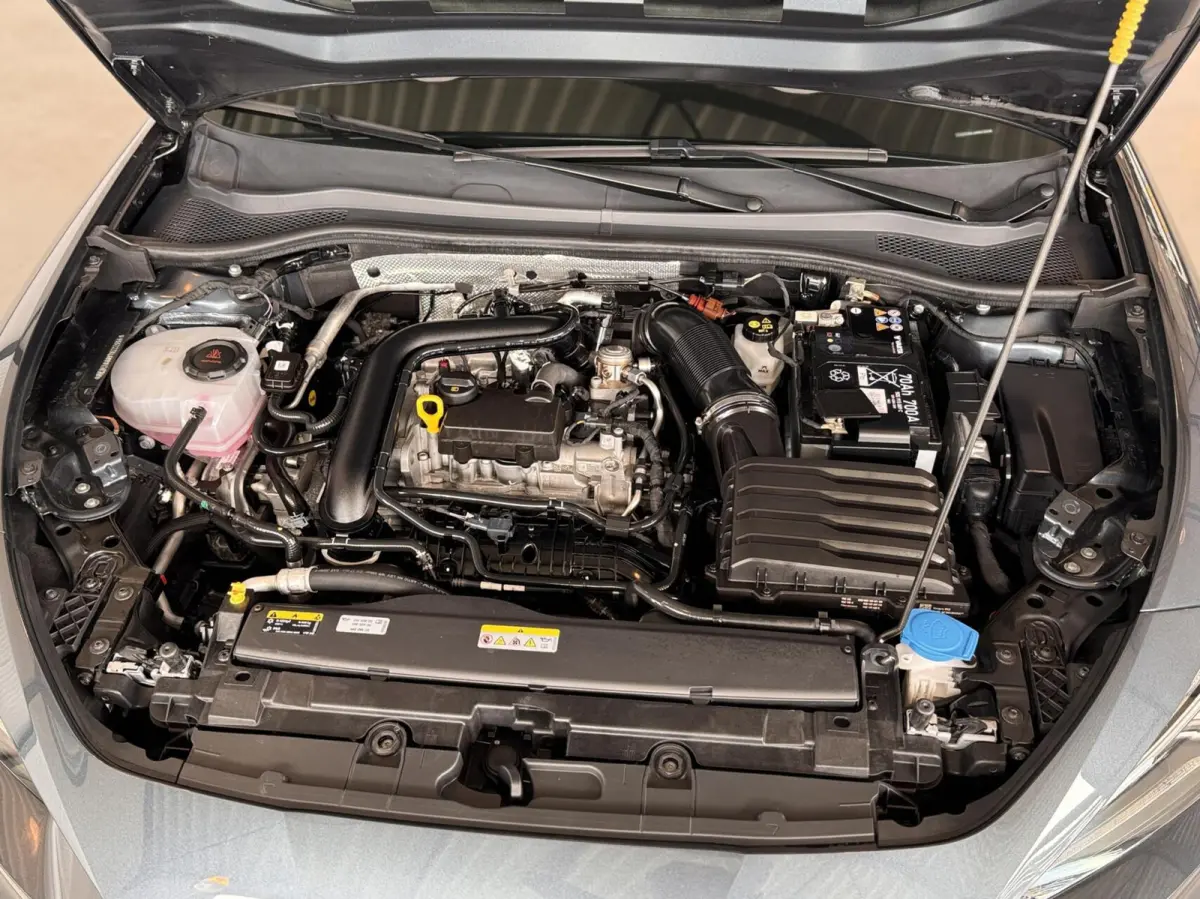 1.0 e-TSI 81kW FR Business Intense DSG