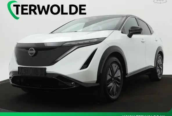 Advance 66 kWh | Adapt. Cruise | 360 Camera | Navigatie |