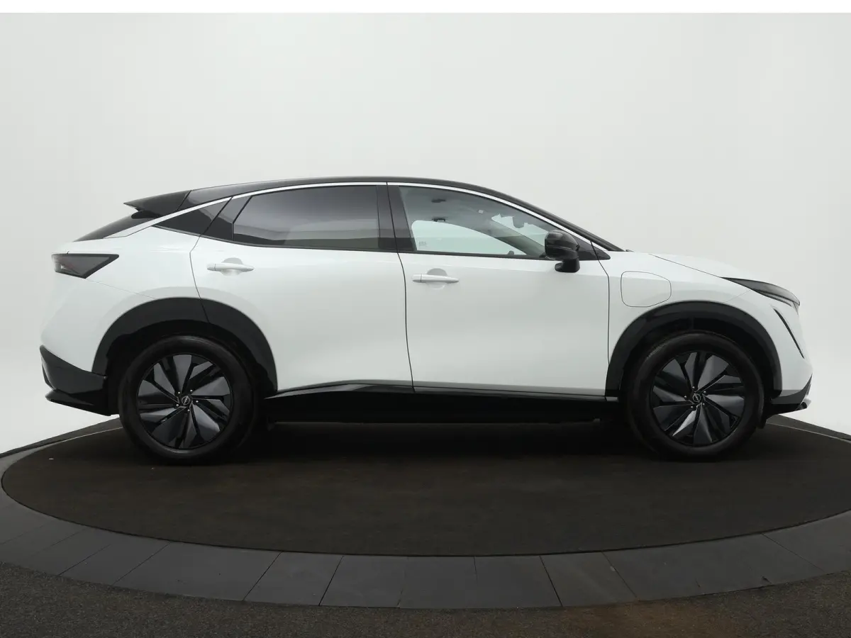 Advance 66 kWh | Adapt. Cruise | 360 Camera | Navigatie |