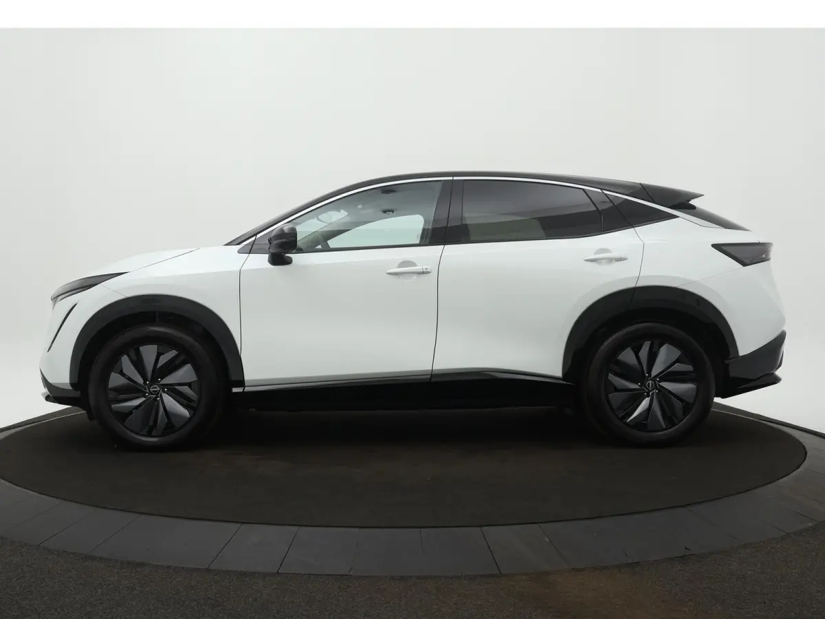 Advance 66 kWh | Adapt. Cruise | 360 Camera | Navigatie |