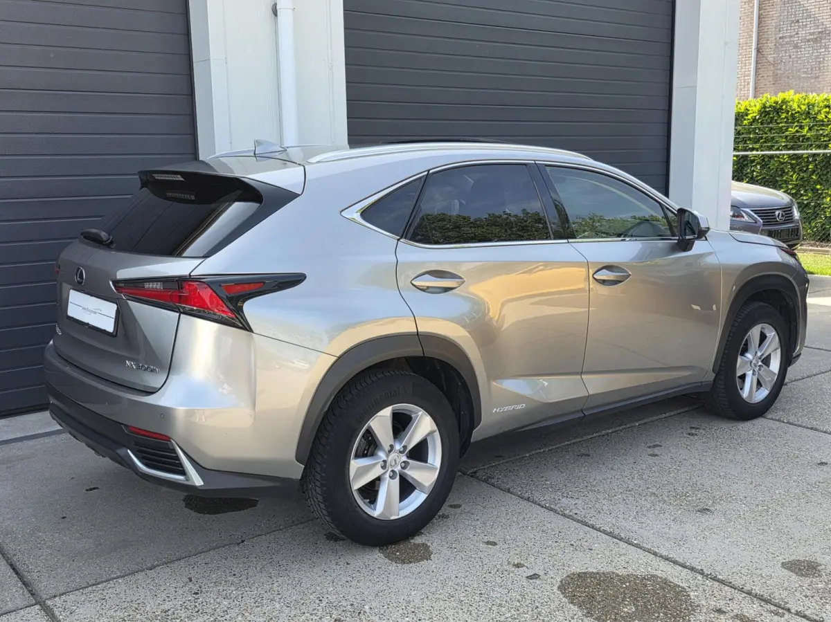 300h AWD President Line 2019 facelift