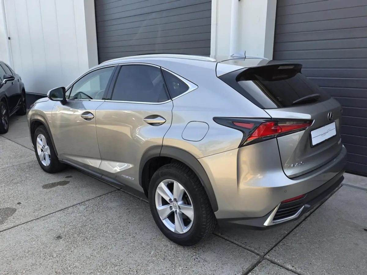 300h AWD President Line 2019 facelift