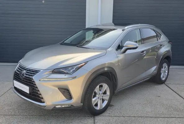 300h AWD President Line 2019 facelift