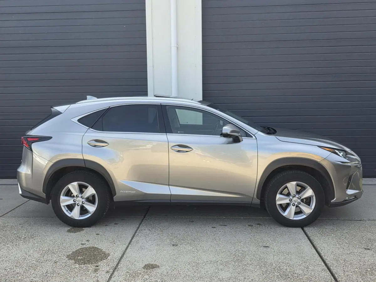 300h AWD President Line 2019 facelift