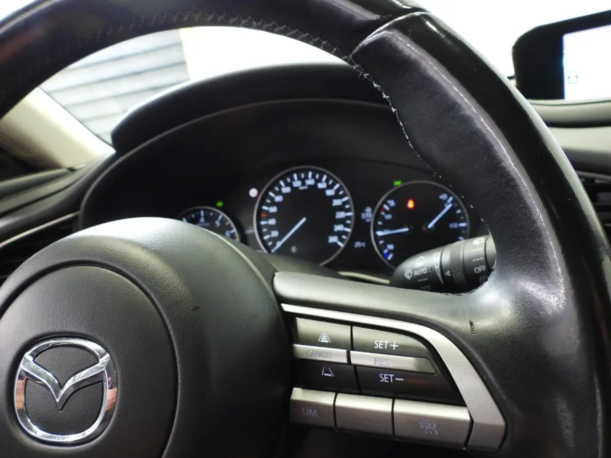 2.0 e-SkyActiv-X M Hybrid NAVI/TREKH./ADAPT.CRUISE/LED/16"LMV!