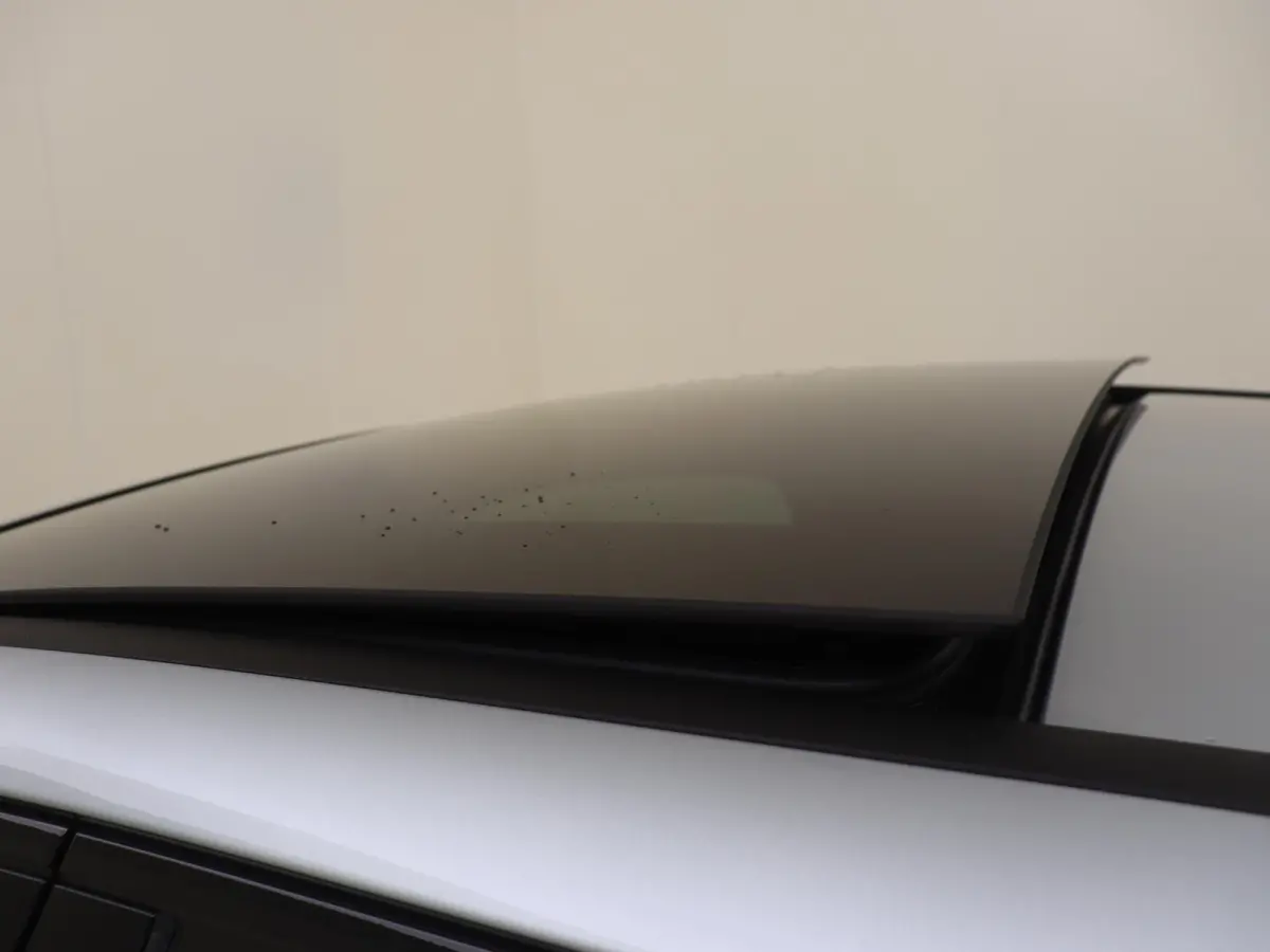 250 e Business Solution AMG / Panoramadak/ Sfeerverlichting/ Night