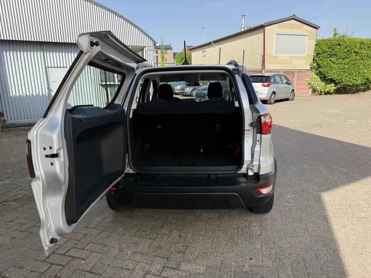 1.0 EcoBoost Automaat