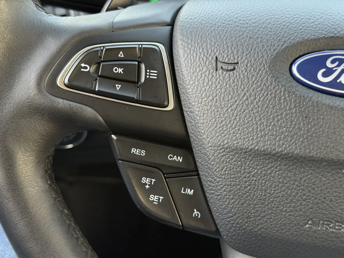 1.0 EcoBoost Automaat