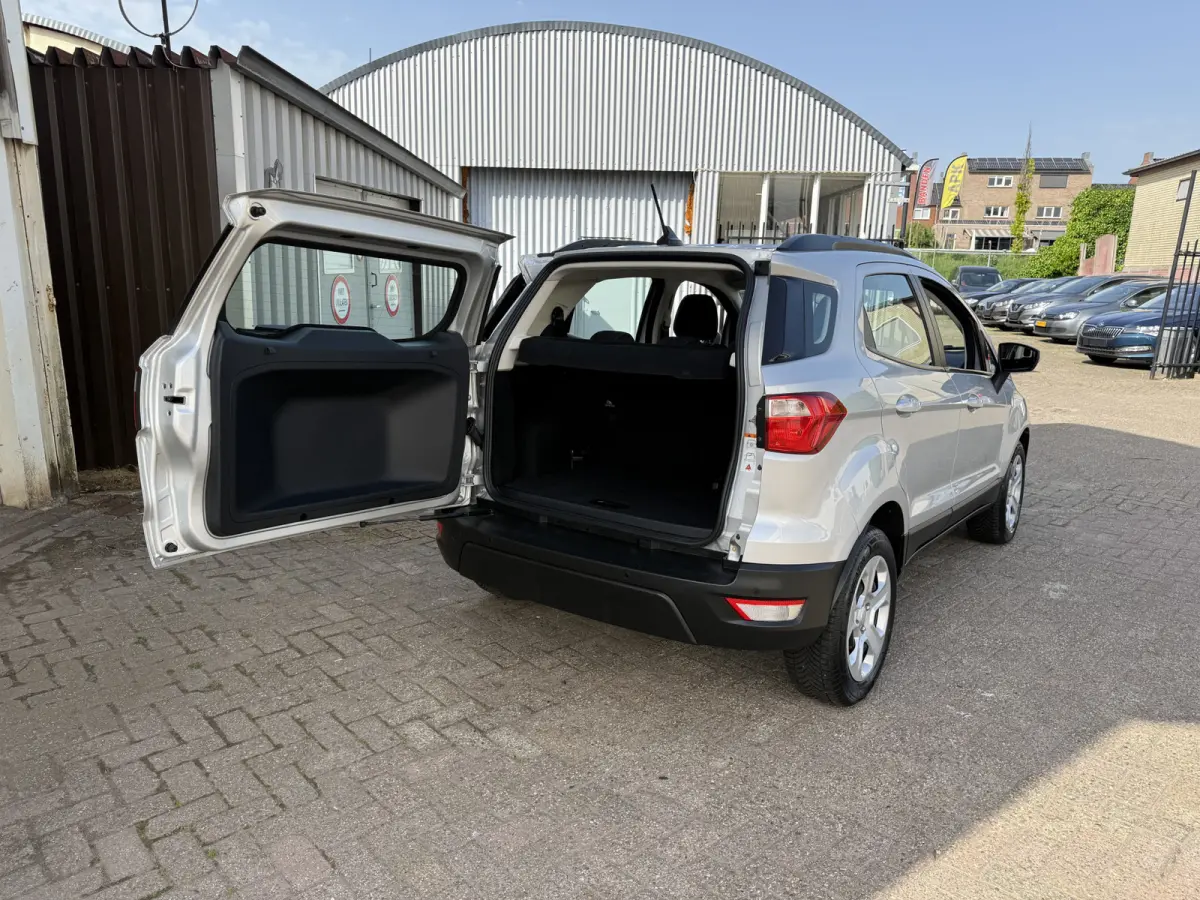 1.0 EcoBoost Automaat