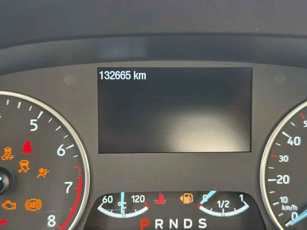 1.0 EcoBoost Automaat