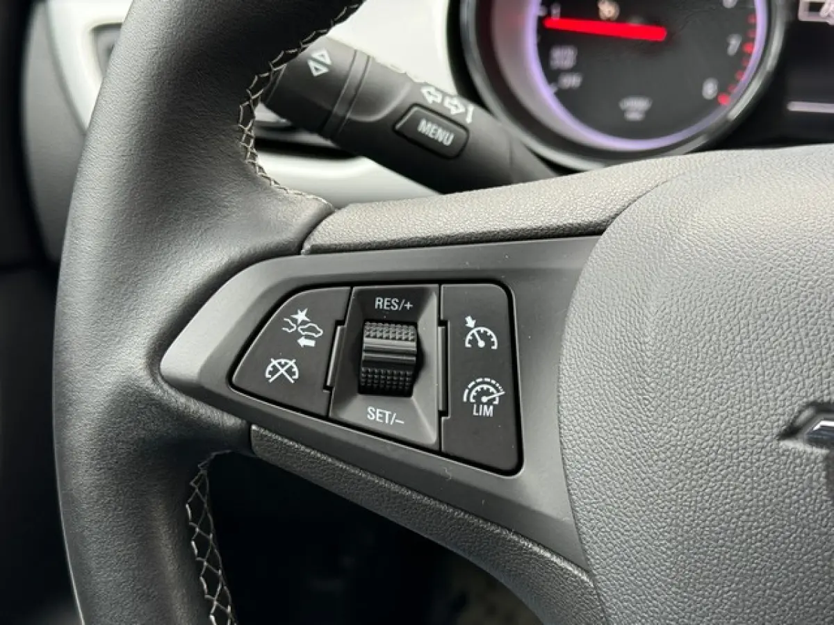 1.2 Turbo Edition 2020 met Navi/Camera, Trekhaak, Dodehoek, AGR