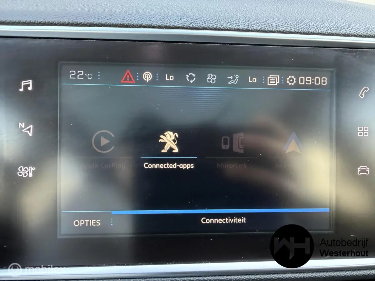 1.2 PureTech Blue Lease Executive|PANO|LINE ASSIST