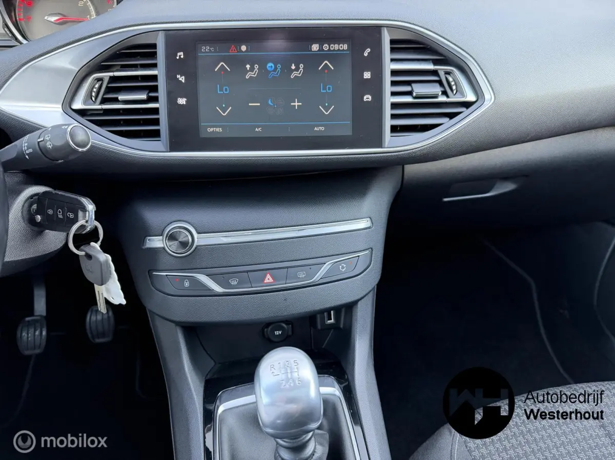 1.2 PureTech Blue Lease Executive|PANO|LINE ASSIST