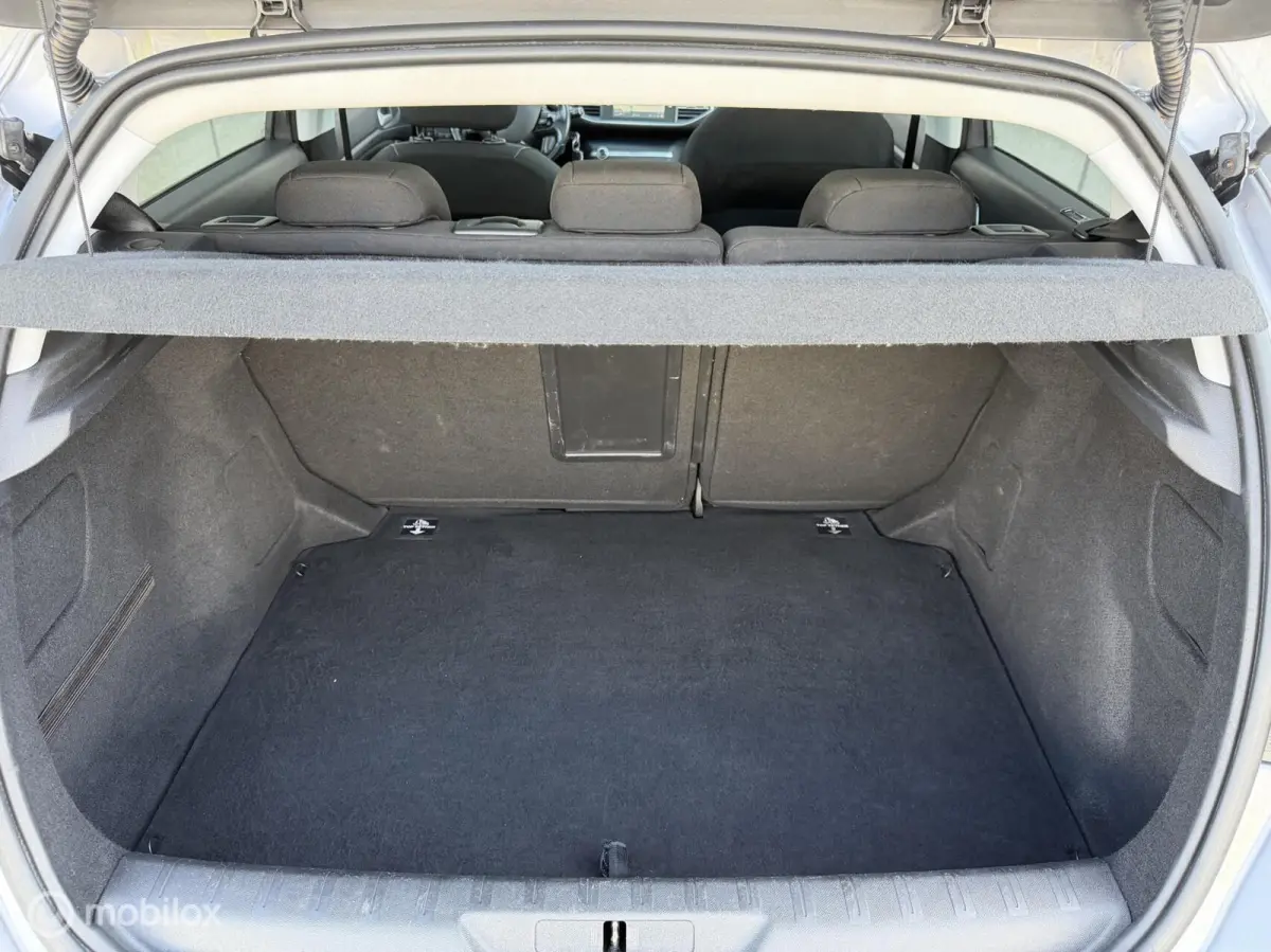 1.2 PureTech Blue Lease Executive|PANO|LINE ASSIST
