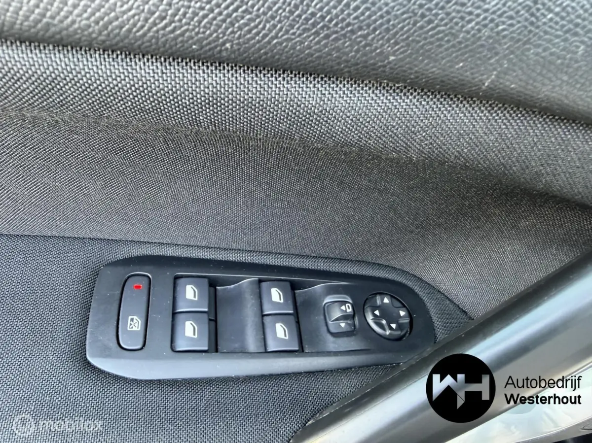 1.2 PureTech Blue Lease Executive|PANO|LINE ASSIST