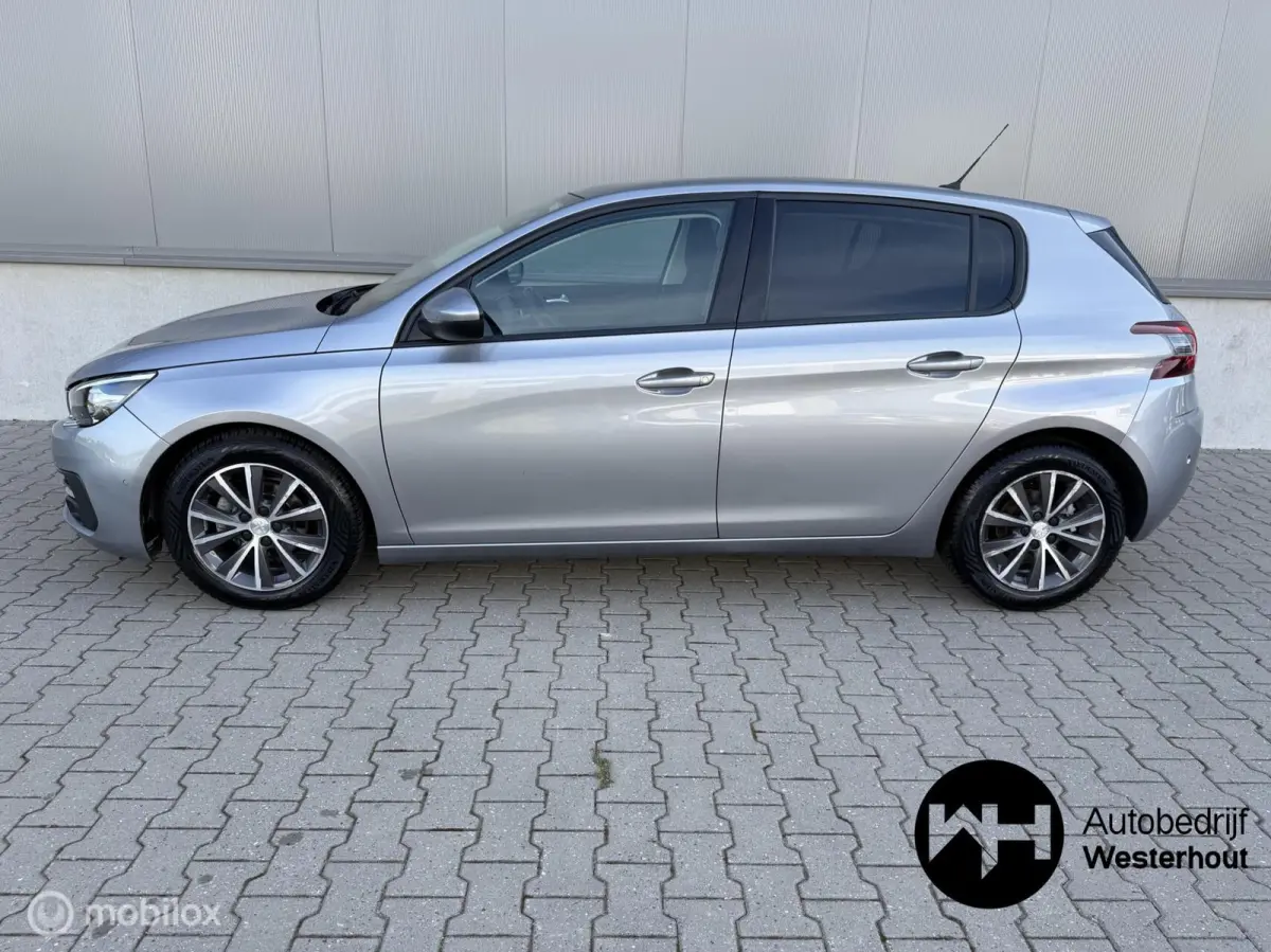 1.2 PureTech Blue Lease Executive|PANO|LINE ASSIST