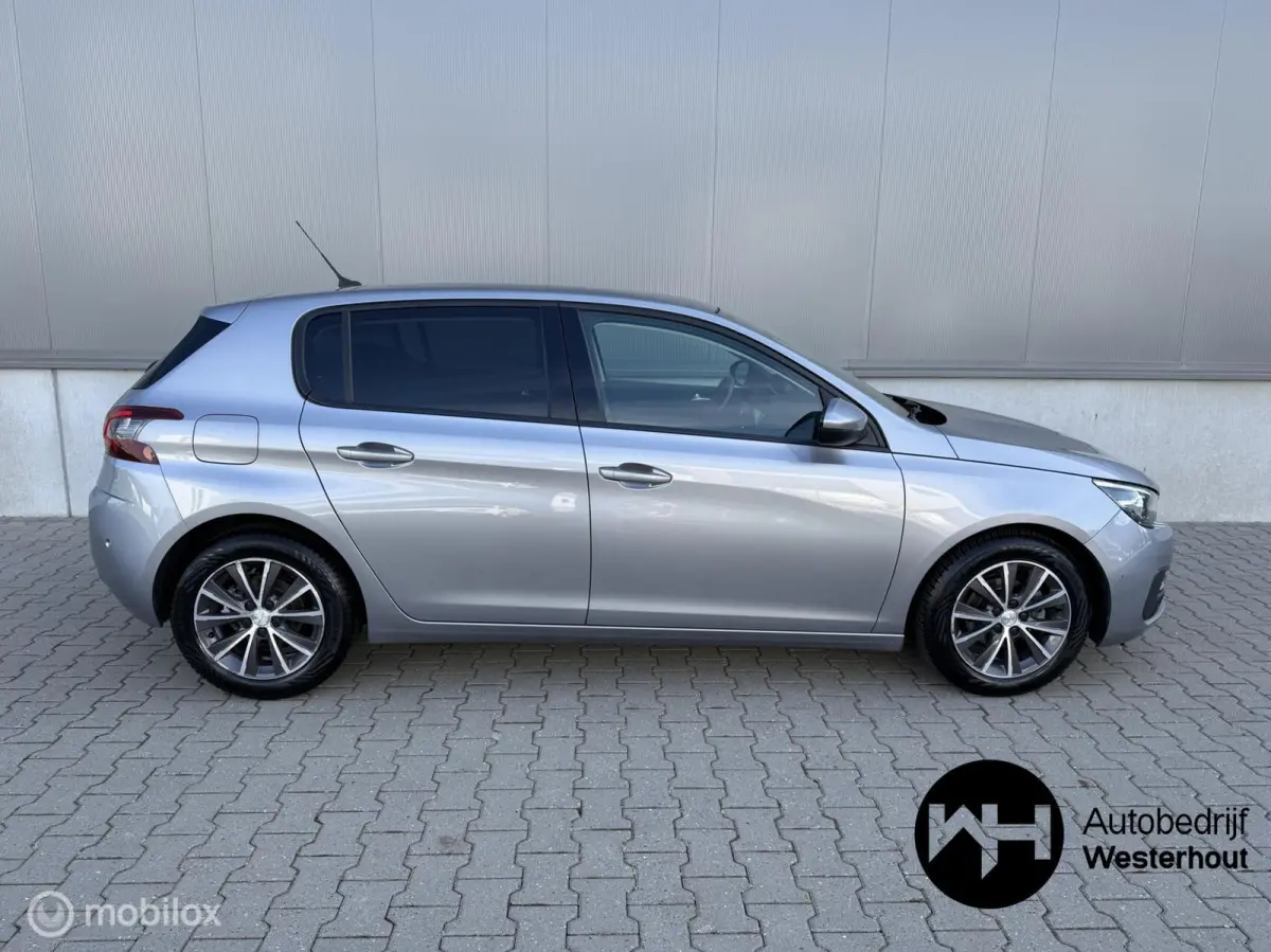 1.2 PureTech Blue Lease Executive|PANO|LINE ASSIST