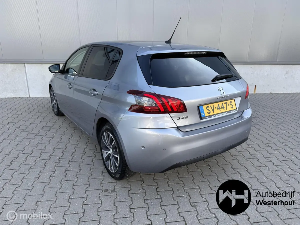 1.2 PureTech Blue Lease Executive|PANO|LINE ASSIST