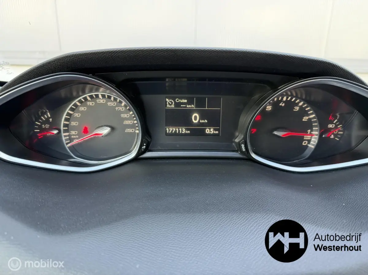 1.2 PureTech Blue Lease Executive|PANO|LINE ASSIST
